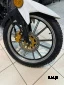 Мопед PROMAX ALPHA PRIDE 130 (49)