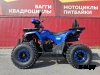 Квадроцикл PROMAX WILD 2.0 190 LUX