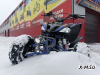 Квадроцикл PROMAX RAPTOR 300 NEW