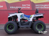 Квадроцикл PROMAX RENEGADE 280 (2025)