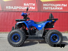 Квадроцикл PROMAX WILD 2.0 190 LUX