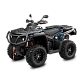 Квадроцикл AODES PATHCROSS 1000 LCD, одноместный