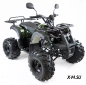 Квадроцикл бензиновый MOTAX ATV GRIZLIK SUPER LUX  125 сс NEW (AB)