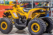 Квадроцикл TAO MOTORS ATV SHARK (125cc) - L