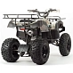 Квадроцикл PROMAX ATV 250