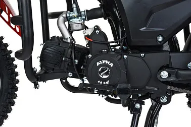 Мопед MOTOLAND (МОТОЛЕНД) Альфа Forester RS 11 (LM48-B) красный (A)