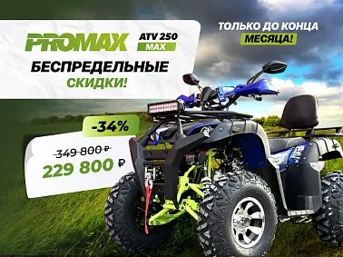 Квадроцикл PROMAX ATV 250 MAX