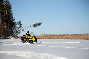 Снегоход Рыбак Торос 600S 800Pro
