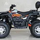 Квадроцикл GBM STORMRIDER 320 PREMIUM